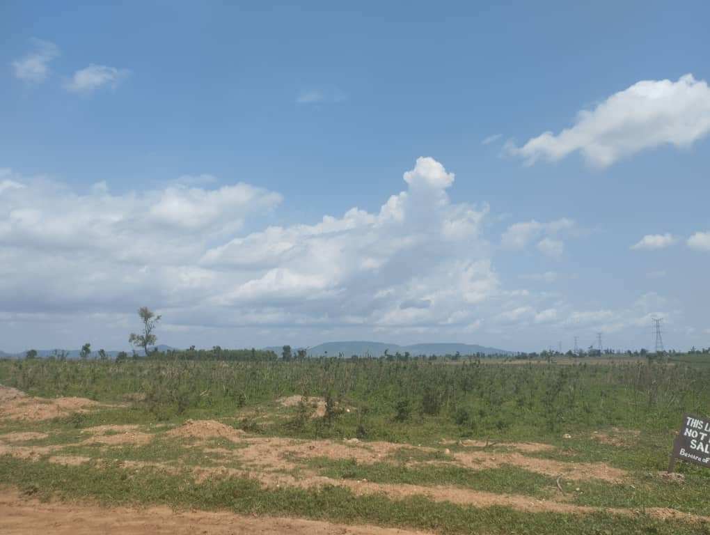15.10 hectares